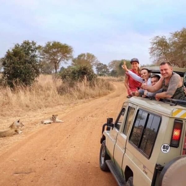 5 Days Tanzania Safari – Serengeti & Ngorongoro Crater