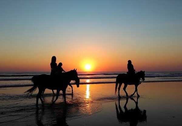 Zanzibar Horse Riding